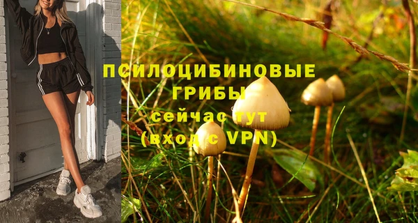 MDMA Алексин
