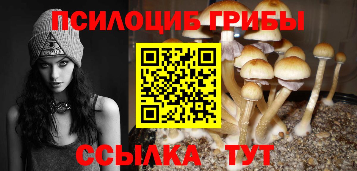 Красногорск  Галлюциногенные грибы мицелий  Псилоцибиновые грибы Psilocybine cubensis  Вход с VPN 