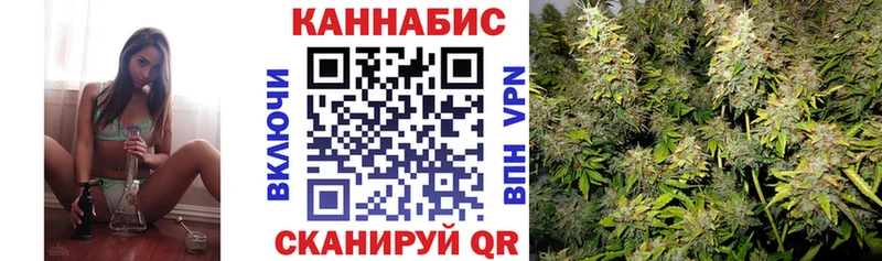 OMG маркетплейс Красногорск Бошки Шишки SATIVA & INDICA